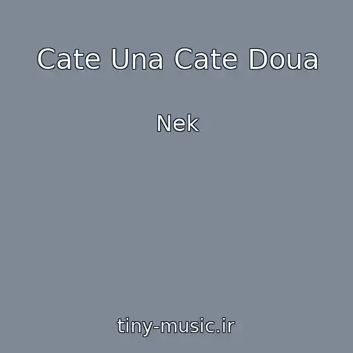 کاور آهنگ Cate Una Cate Doua از Nek