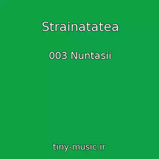 کاور آهنگ Strainatatea از 003 Nuntasii