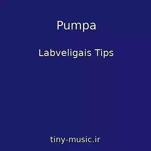 کاور آهنگ Pumpa از Labveligais Tips