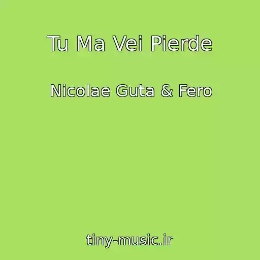 کاور آهنگ Tu Ma Vei Pierde از Nicolae Guta & Fero