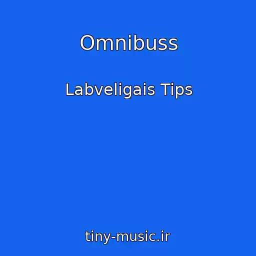 کاور آهنگ Omnibuss از Labveligais Tips