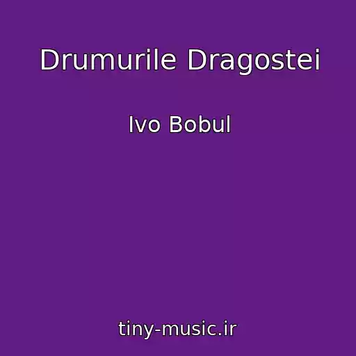 کاور آهنگ Drumurile Dragostei از Іvo Bobul