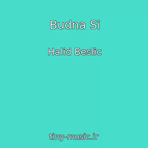 کاور آهنگ Budna Si از Halid Beslic