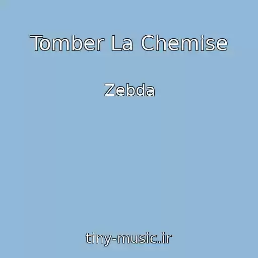کاور آهنگ Tomber La Chemise از Zebda
