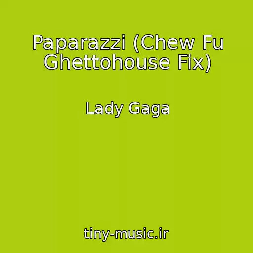 کاور آهنگ Paparazzi (Chew Fu Ghettohouse Fix) از Lady Gaga