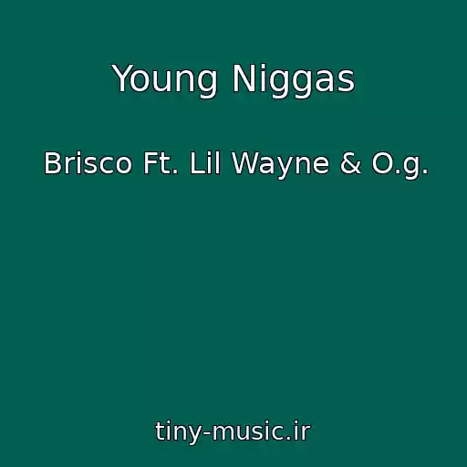 کاور آهنگ Young Niggas از Brisco Ft. Lil Wayne & O.g.
