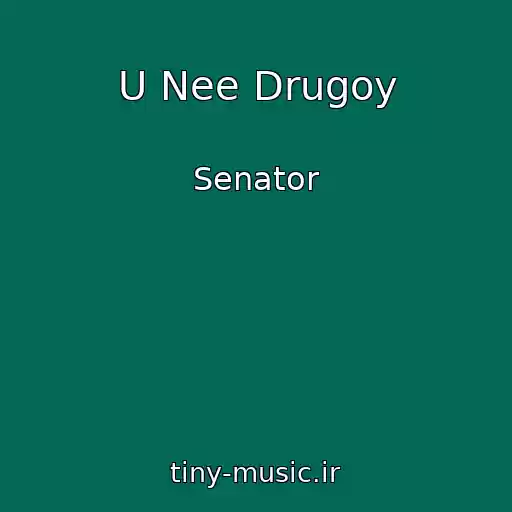کاور آهنگ U Nee Drugoy از Senator