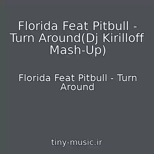کاور آهنگ Florida Feat Pitbull - Turn Around(Dj Kirilloff Mash-Up) از Florida Feat Pitbull - Turn Around