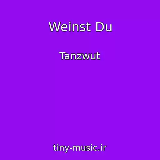 کاور آهنگ Weinst Du از Tanzwut