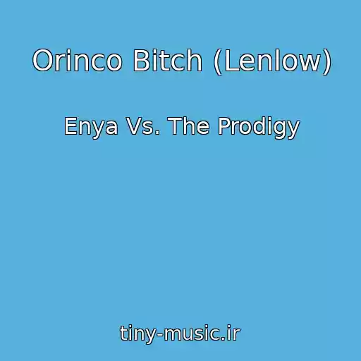 کاور آهنگ Orinco Bitch (Lenlow) از Enya Vs. The Prodigy