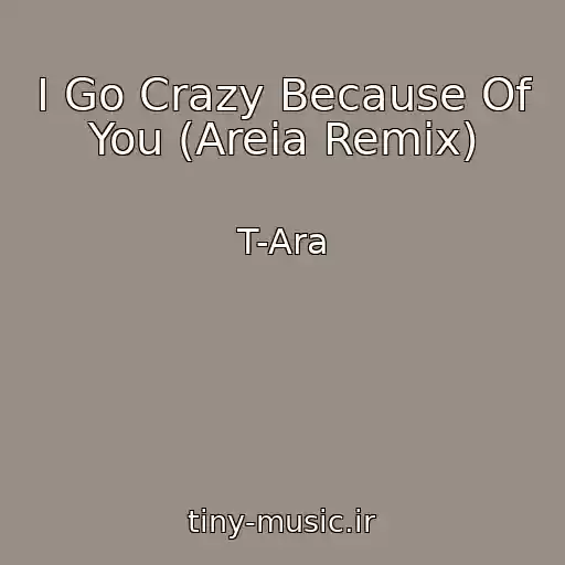 کاور آهنگ I Go Crazy Because Of You (Areia Remix) از T-Ara