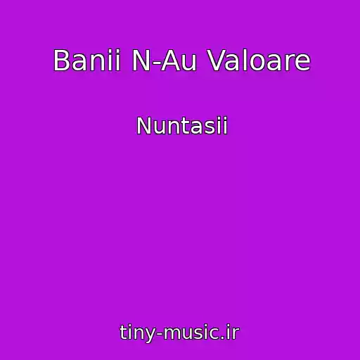 کاور آهنگ Banii N-Au Valoare از Nuntasii