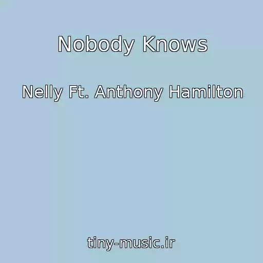 کاور آهنگ Nobody Knows از Nelly Ft. Anthony Hamilton