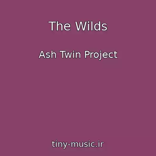 کاور آهنگ The Wilds از Ash Twin Project