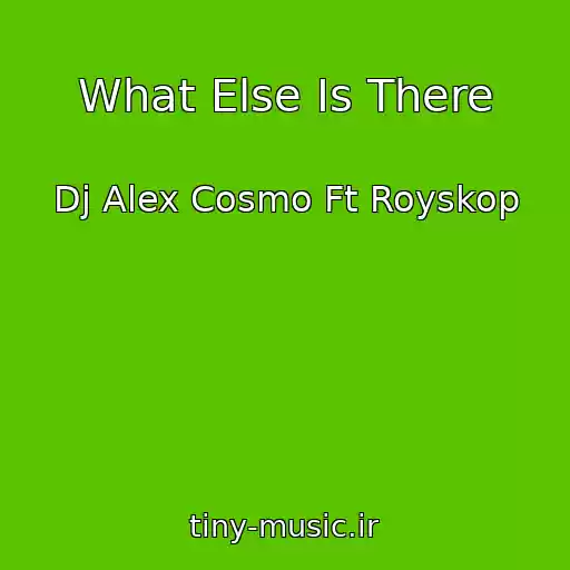 کاور آهنگ What Else Is There از Dj Alex Cosmo Ft Royskop