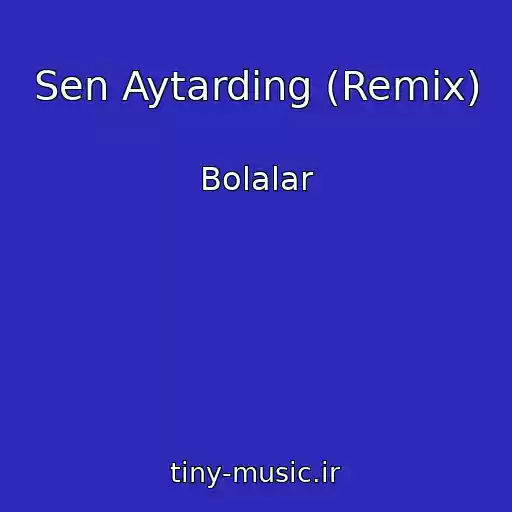 کاور آهنگ Sen Aytarding (Remix) از Bolalar