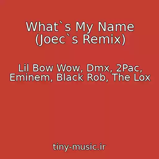 کاور آهنگ What`s My Name (Joec`s Remix) از Lil Bow Wow, Dmx, 2Pac, Eminem, Black Rob, The Lox