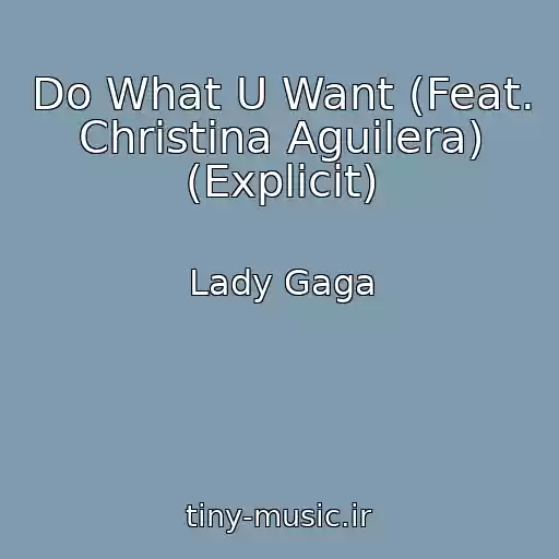 کاور آهنگ Do What U Want (Feat. Christina Aguilera) (Explicit) از Lady Gaga