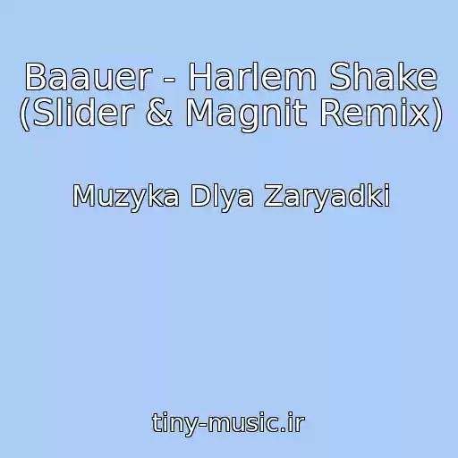 کاور آهنگ Baauer - Harlem Shake (Slider & Magnit Remix) از Muzyka Dlya Zaryadki