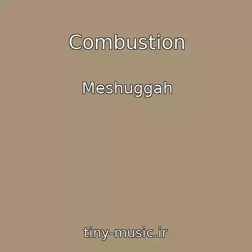 کاور آهنگ Combustion از Meshuggah