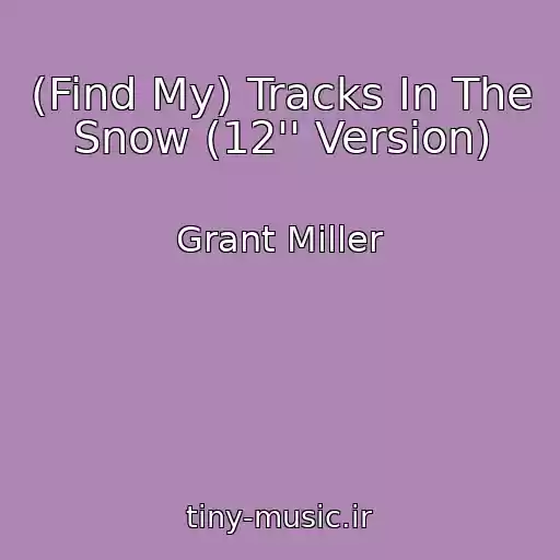کاور آهنگ (Find My) Tracks In The Snow (12'' Version) از Grant Miller
