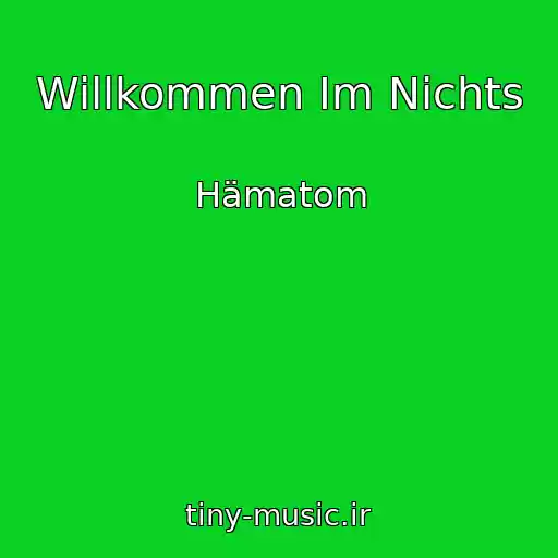کاور آهنگ Willkommen Im Nichts از Hämatom