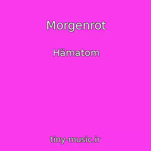 کاور آهنگ Morgenrot از Hämatom