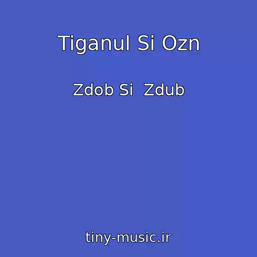 کاور آهنگ Tiganul Si Ozn از Zdob Si  Zdub