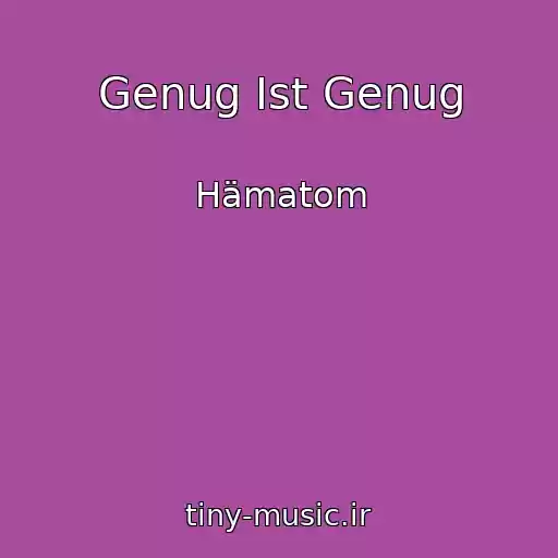کاور آهنگ Genug Ist Genug از Hämatom