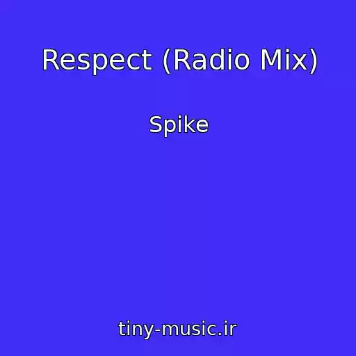 کاور آهنگ Respect (Radio Mix) از Spike