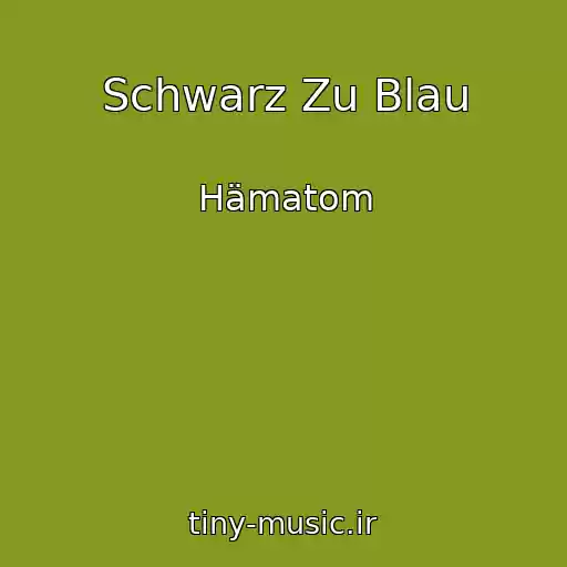کاور آهنگ Schwarz Zu Blau از Hämatom