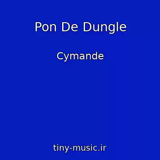 کاور آهنگ Pon De Dungle از Cymande