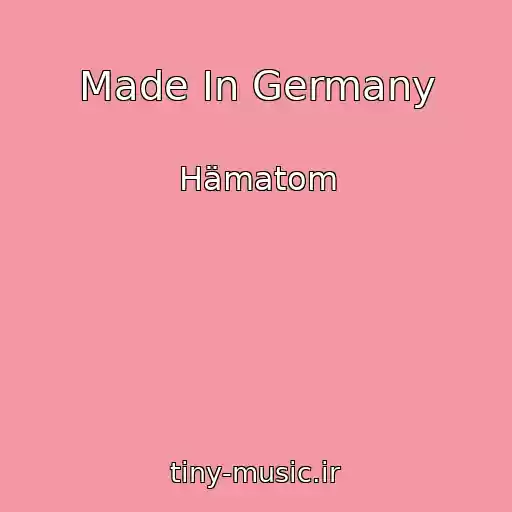 کاور آهنگ Made In Germany از Hämatom