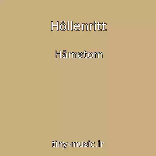 کاور آهنگ Höllenritt از Hämatom