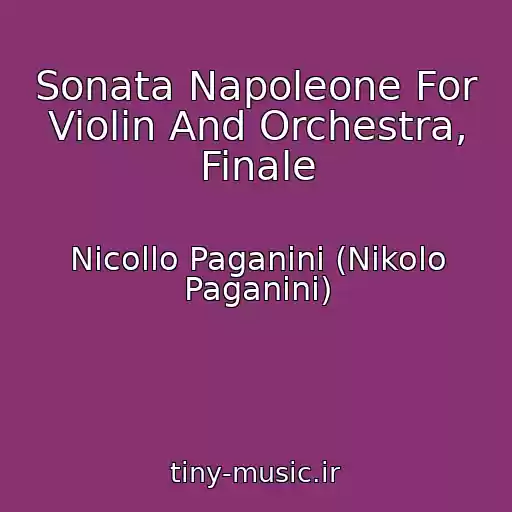 کاور آهنگ Sonata Napoleone For Violin And Orchestra, Finale از Nicollo Paganini (Nikolo Paganini)