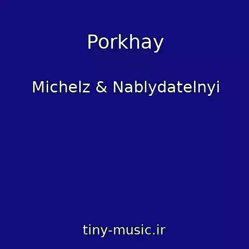 کاور آهنگ Porkhay از Michelz & Nablydatelnyi