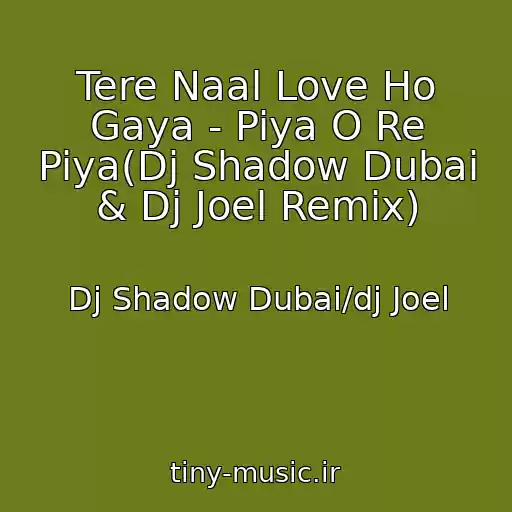 کاور آهنگ Tere Naal Love Ho Gaya - Piya O Re Piya(Dj Shadow Dubai & Dj Joel Remix) از Dj Shadow Dubai/dj Joel