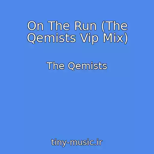 کاور آهنگ On The Run (The Qemists Vip Mix) از The Qemists