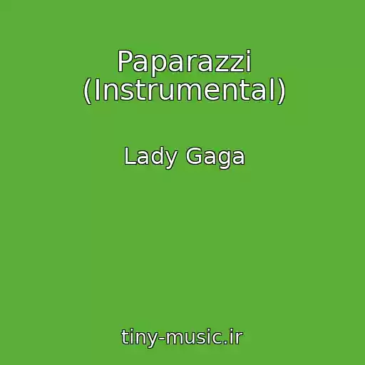 کاور آهنگ Paparazzi (Instrumental) از Lady Gaga