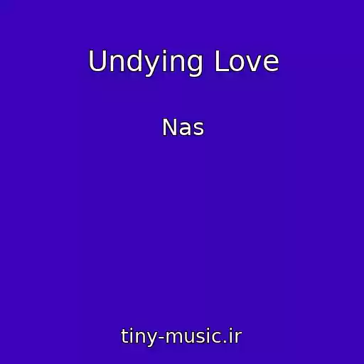 کاور آهنگ Undying Love از Nas