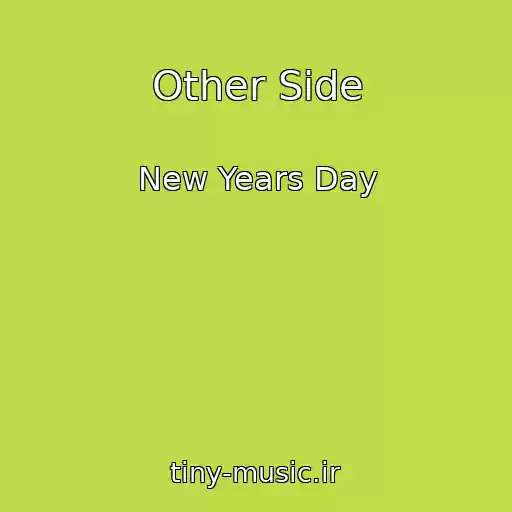 کاور آهنگ Other Side از New Years Day