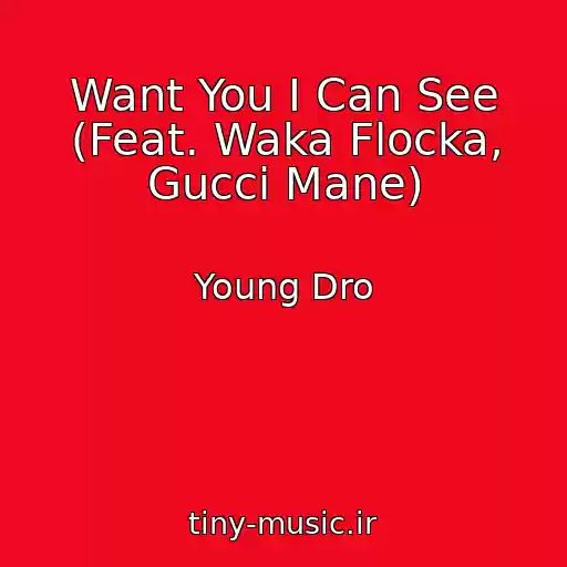 کاور آهنگ Want You I Can See (Feat. Waka Flocka, Gucci Mane) از Young Dro