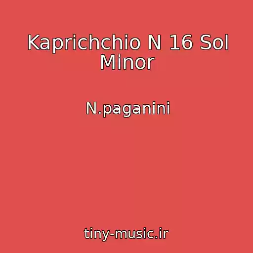 کاور آهنگ Kaprichchio N 16 Sol Minor از N.paganini