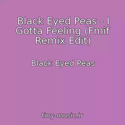 کاور آهنگ Black Eyed Peas - I Gotta Feeling (Fmif Remix Edit) از Black Eyed Peas