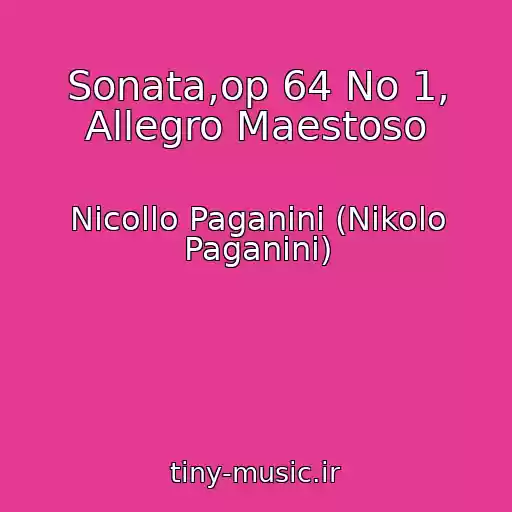 کاور آهنگ Sonata,op 64 No 1, Allegro Maestoso از Nicollo Paganini (Nikolo Paganini)