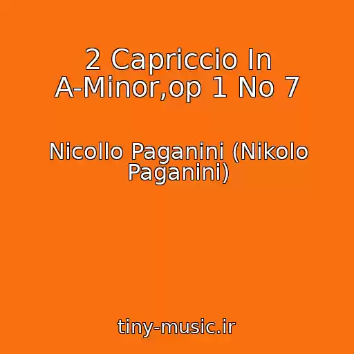 کاور آهنگ 2 Capriccio In A-Minor,op 1 No 7 از Nicollo Paganini (Nikolo Paganini)