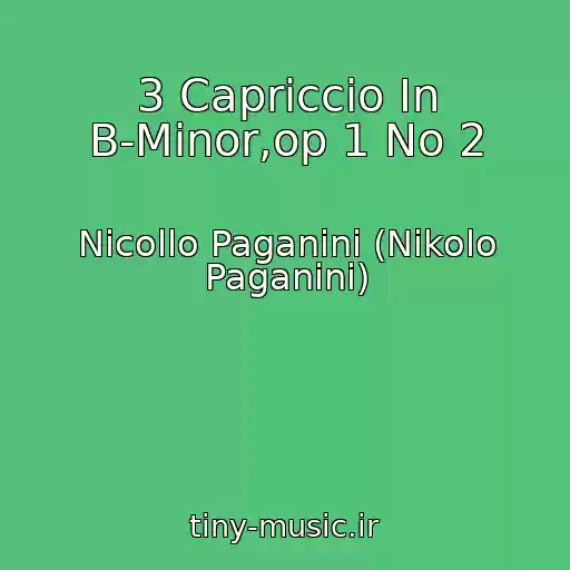 کاور آهنگ 3 Capriccio In B-Minor,op 1 No 2 از Nicollo Paganini (Nikolo Paganini)