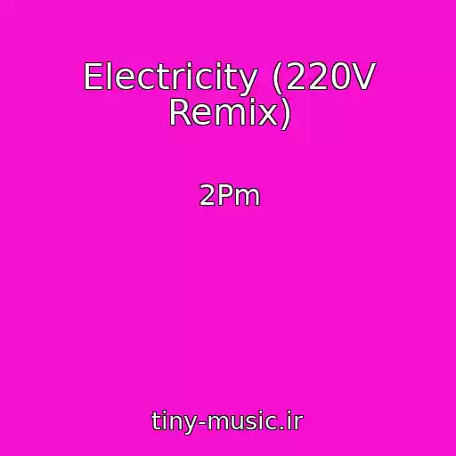 کاور آهنگ Electricity (220V Remix) از 2Pm