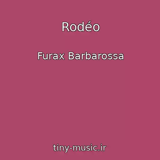 کاور آهنگ Rodéo از Furax Barbarossa
