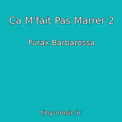 کاور آهنگ Ça M'fait Pas Marrer 2 از Furax Barbarossa
